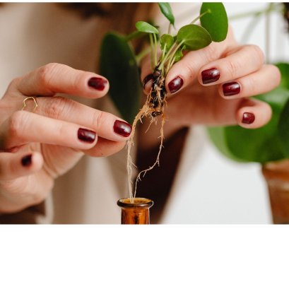 Ep.1 แนวทางการคัดเลือกวัตถุดิบเครื่องสำอาง และ อาหารเสริม