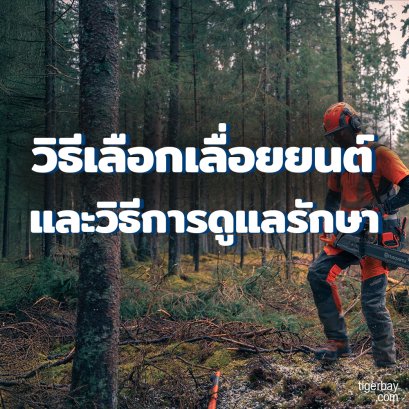 วิธีเลือกเลื่อยยนต์ให้เหมาะกับการใช้งาน และวิธีการดูแลรักษาเลื่อยยนต์