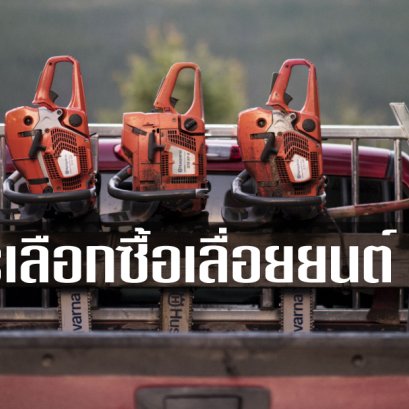 การเลือกซื้อเลื่อยยนต์