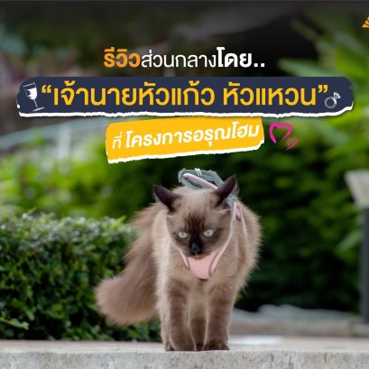 รีวิวส่วนกลางโดย "เจ้านายหัวแก้ว หัวแหวน" ที่โครงการบ้านอรุณโฮม #ส่วนกลางสไตล์รีสอร์ท Pet friendly zone ให้เจ้าเหมียวและทาส ได้ผ่อนคลาย มีพื้นที่วิ่งเล่นและใช้เวลาร่วมกันอย่างมีความสุข  