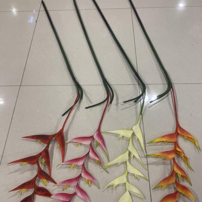 Heliconia