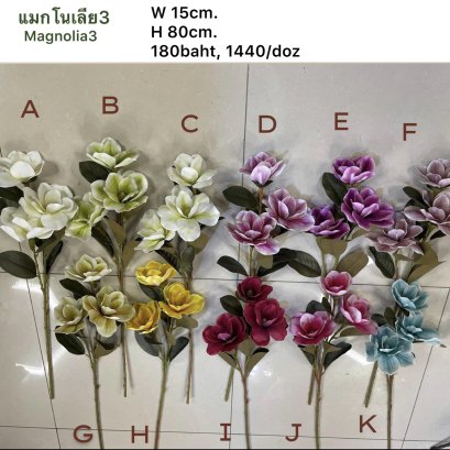 แมกโนเลีย