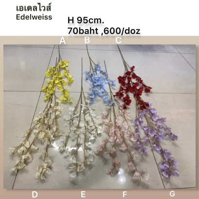 เอเดลไวส์