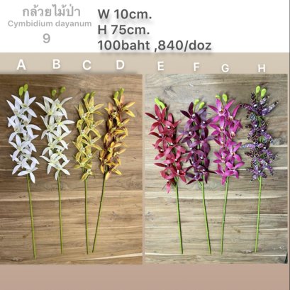 กล้วยไม้ป่า