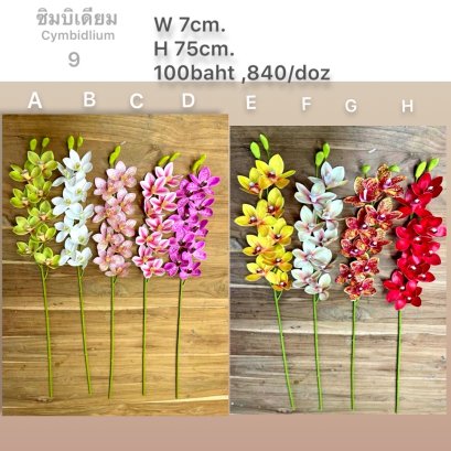 ซิมบิเดียม