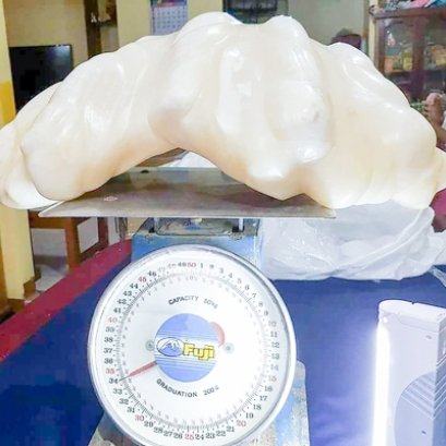 Pearl of Puerto (เพิร์ล ออฟ เปอร์โต) ไข่มุกที่ใหญ่ที่สุดและแพงที่สุดในโลก