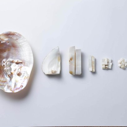 Shell Pearls กลโกงง่ายๆ หลอกขายเม็ดพลาสติก!