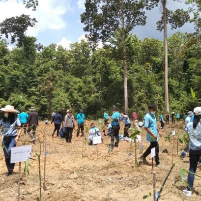 กิจกรรมปลูกป่าเฉลิมพระเกียรติสมเด็จพระนางเจ้าสิริกิติ์
