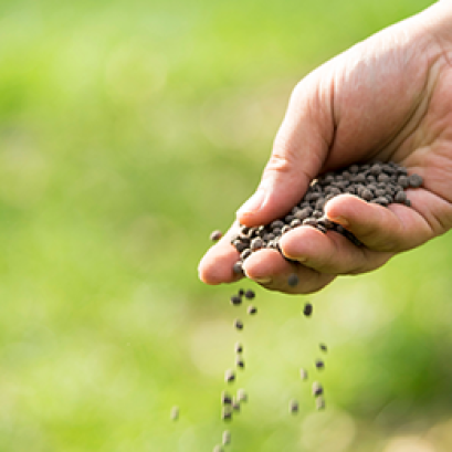 ปุ๋ยอินทรีย์ ตราเพชรใบไม้ ช่วยเพิ่มผลผลิตพืชได้อย่างไร