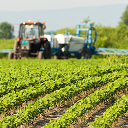 ปุ๋ยอินทรีย์ ตราเพชรใบไม้ ใช้ได้กับพืช อะไรบ้าง