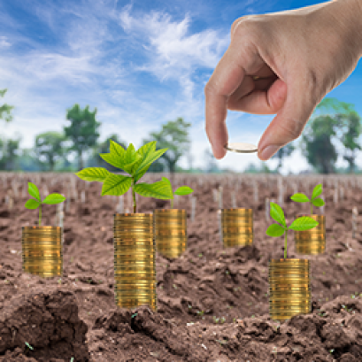 ความคุ้มค่าของการใช้ ปุ๋ยอินทรีย์ ตราเพชรใบไม้ ในการเพิ่ม ผลผลิตพืช