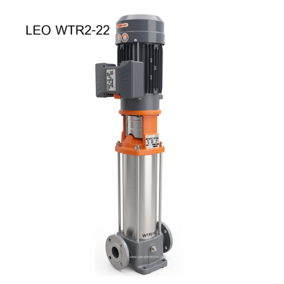LEO WTR2-22 2.2kw 220V Vertical Stainless Steel Pump