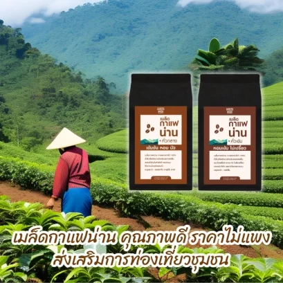 เมล็ดกาแฟน่าน
