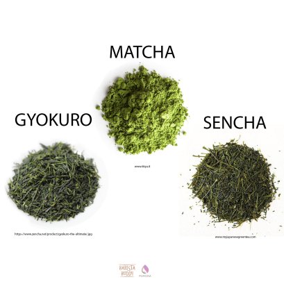 เรื่องน่ารู้ของชาเขียวมัทฉะ (Matcha Green Tea)