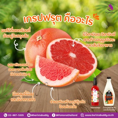 เกรปฟรุต ที่ทุกท่านเคยได้ยินกัน แต่บางท่านอาจยังไม่รู้ว่าผลไม้ชนิดนี้คืออะไร