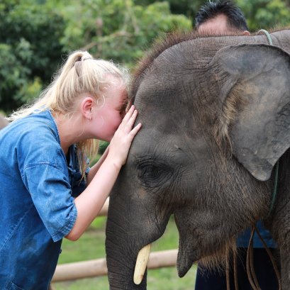 Full Day visit and Support at Eco Elephant Care