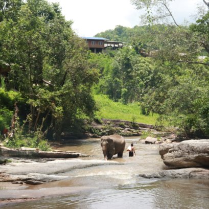 One Day Experience Trek Sanpatong (Mae Win area)
