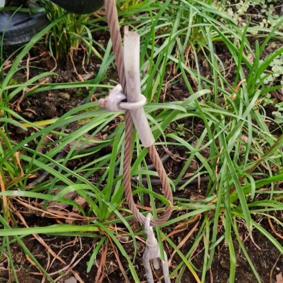 Rusted Wire Rope and Wire Rope Clips