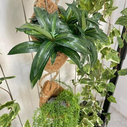 สลิงแขวนต้นไม้