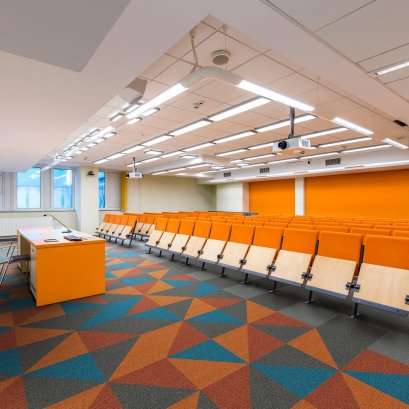 พรมแผ่นปูพื้น Flatlands