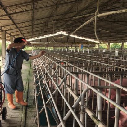 คุ้มหรือไม่? กำจัดไรขี้เรื้อนแล้วต้องสูญเสียภูมิคุ้มกันโรค