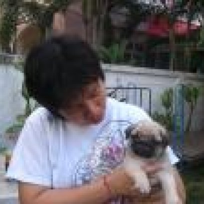 คุณสมบัติของคนดูแลสุนัข