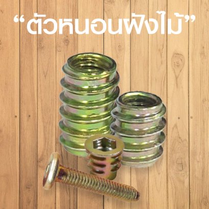 เคยพบ! ปัญหาการใช้งานตัวหนอนฝังไม้กันไหม