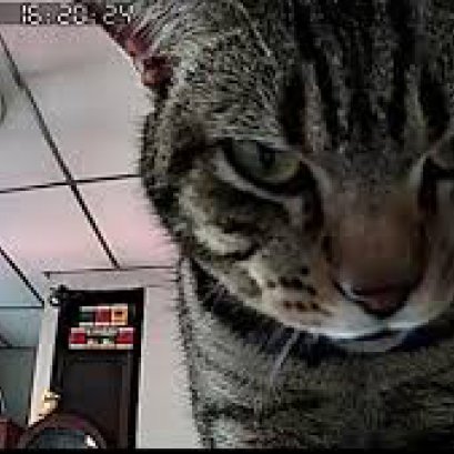 ประโยชน์ของกล้องวงจรปิด-กล้องวงจรปิดเชียงใหม่