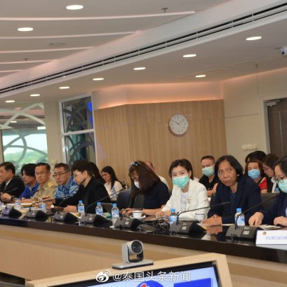 集团董事长郭蕊女士参加泰国商务部内贸厅口罩出口会议