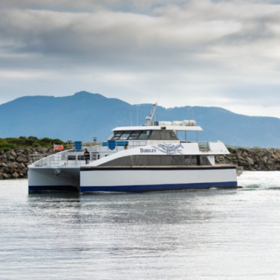 Yanmar กับ Bubbles