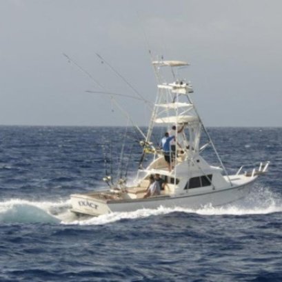 YANMAR เครื่องยนต์ที่วางใจได้ ตัวเลือกที่ “ดีที่สุด” สำหรับ หมู่เกาะฮาวาย