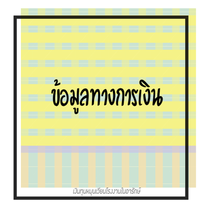 ข้อมูลทางด้านการเงินเงินทุน