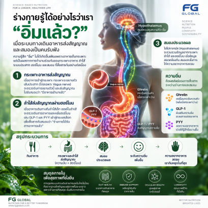 ร่างกายรู้ได้อย่างไรว่าเรา อิ่มแล้ว?