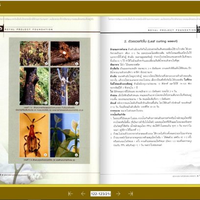 แหล่งความรู้ออนไลน์ 