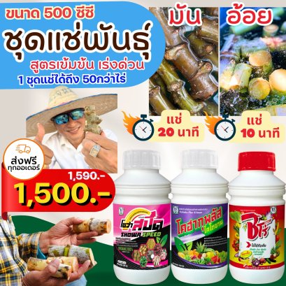 ชุดแช่พันธุ์ขนาด500ซีซี สูตรเร่งด่วน ระบบผู้จัดการมัน