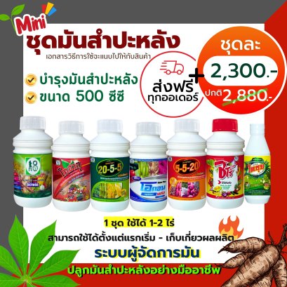 ชุดมันสำปะหลัง ขนาด 500 ซีซี ระบบผู้จัดการมัน