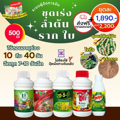 ชุดเร่งลำต้น ราก ใบ ระบบผู้จัดการมัน ขนาด 500 ซีซี