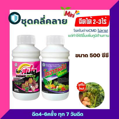 ชุดคลี่คลายใบด่างผู้จัดการมัน ทำให้ดีขึ้น เพิ่มภูมิต้านทานบรรเทาให้กับต้นมันที่เป็นใบด่าง