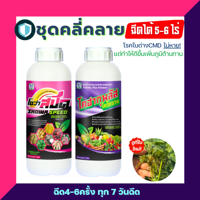 ชุดคลี่คลาย ทำให้ดีขึ้น เพิ่มภูมิต้านทานบรรเทาให้กับต้นมันที่เป็นใบด่าง
