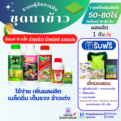 ชุดนาข้าว ระบบผู้จัดการมัน