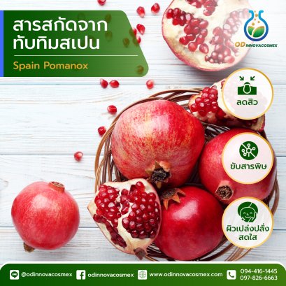 Spanish Pomegranate Extracts: The Power of Refreshment and Health