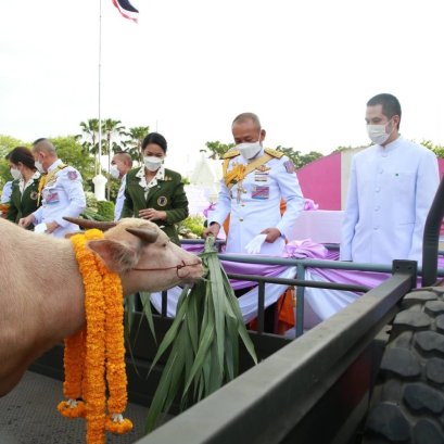 มูลนิธิพุทธภูมิธรรม ร่วมพลังบุญกับ กองทัพภาคที่1 ไถ่ชีวิตกระบือเผือก พลังบุญสิริมงคล