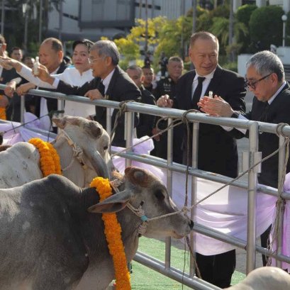  พลังสามัคคีจากมูลนิธิพุทธภูมิธรรม, มูลนิธิพระเทพวราลังการ, มูลนิธิ "เพจอีจัน" และบุญภาคี ญาติธรรม ผู้ใจบุญทุกท่าน   สามารถช่วยชีวิตโคกระบือที่กำลังถูกเข้าโรงเชือด