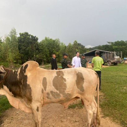 มูลนิธิพุทธภูมิธรรม ลงพื้นที่เยี่ยมเยียนโคกระบือไถ่ชีวิต