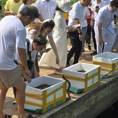 บุญของท่านสำเร็จแล้ว️  มูลนิธิพุทธภูมิธรรม นำประชาชนปล่อยปลาและสรรพสัตว์ ณ พุทธจักษุวิชชาลัย จ.นครปฐม