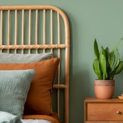 TOA เทนด์สี