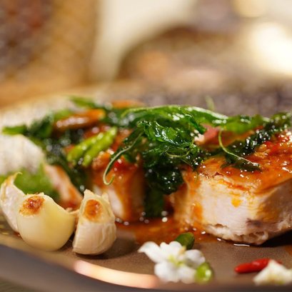 กะเพรา D.I.Y