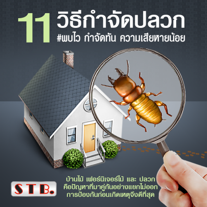 วิธีกำจัดปลวก