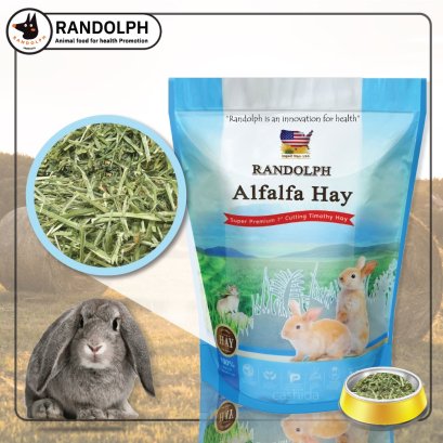 Randolph Alfalfa Super Premium 1st Cut 
