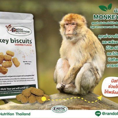 แรนดอล์ฟ-Exotic Nutrition Monkey Biscuit Orange